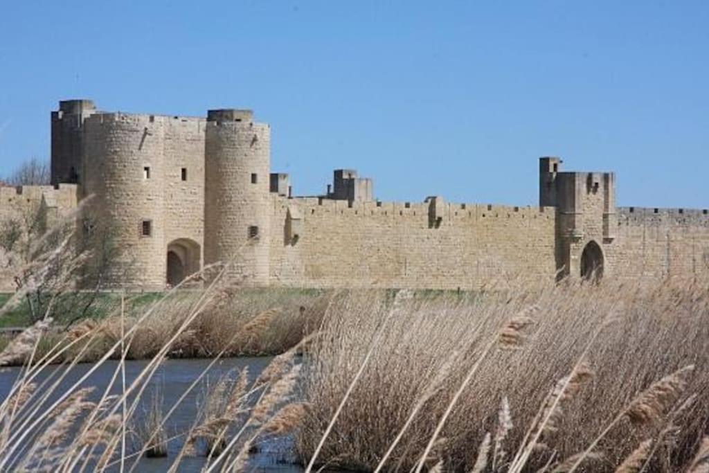 Chambre A 500 M Des Remparts Aigues-Mortes Ngoại thất bức ảnh